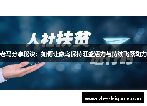 老马分享秘诀:如何让魔鸟保持旺盛活力与持续飞跃动力 老马分享秘诀:如何让魔鸟保持旺盛活力与持续飞跃动力