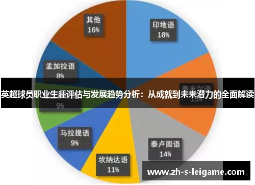 英超球员职业生涯评估与发展趋势分析：从成就到未来潜力的全面解读